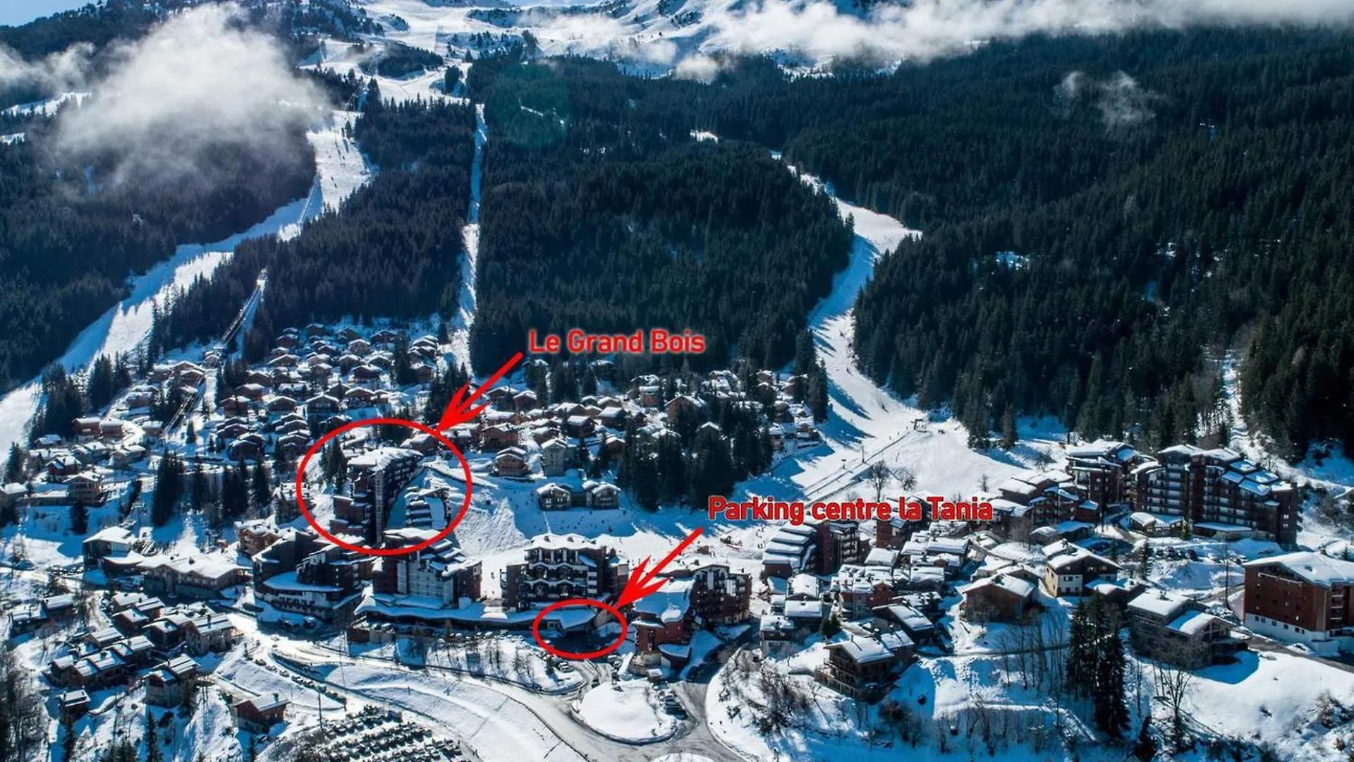 Charmant Appartement 2 Pieces - 31M², Balcon, La Tania - Acces Direct Aux Pistes, 4 Pers. - Fr-1-182A-43 Courchevel Lejlighed